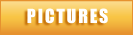 PICTURES